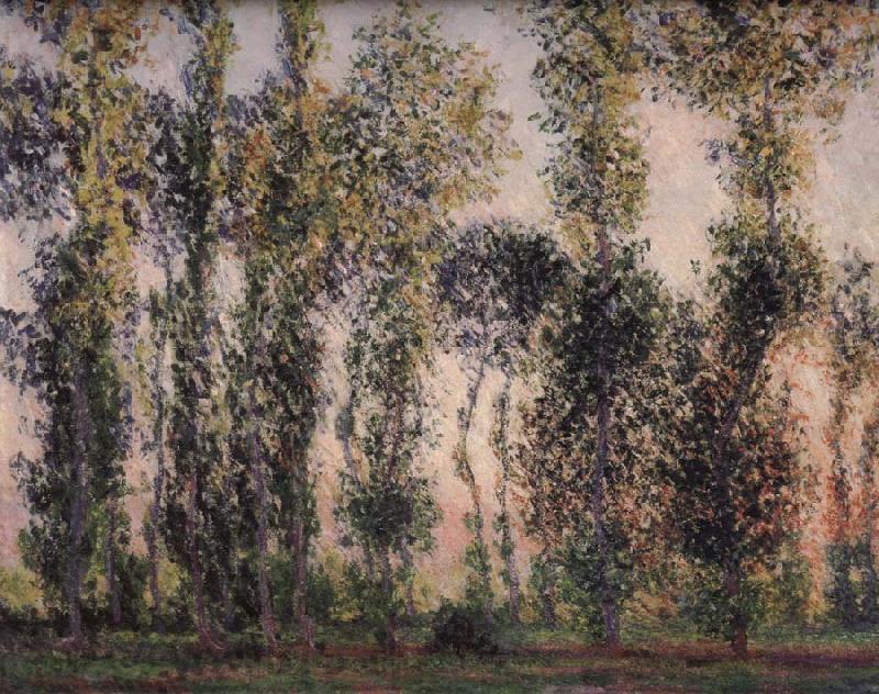 Claude Monet Poplars at Giverny Spain oil painting art